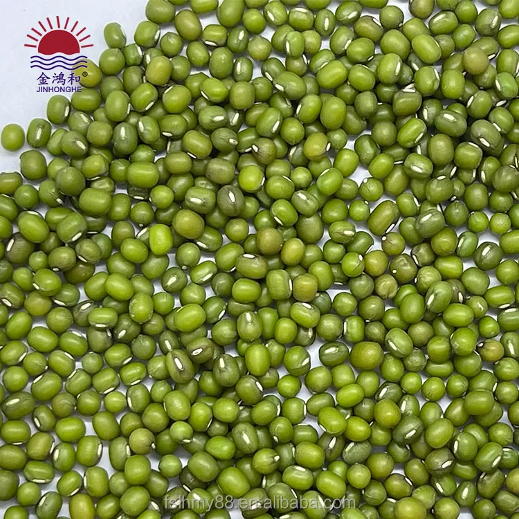Hot green sprouted broad mung bean