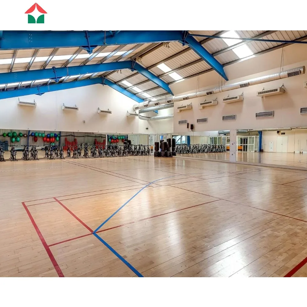 Steel Structure Gymnasium Wide Span Steel Building Modern Hall Build Economical Steel Frame