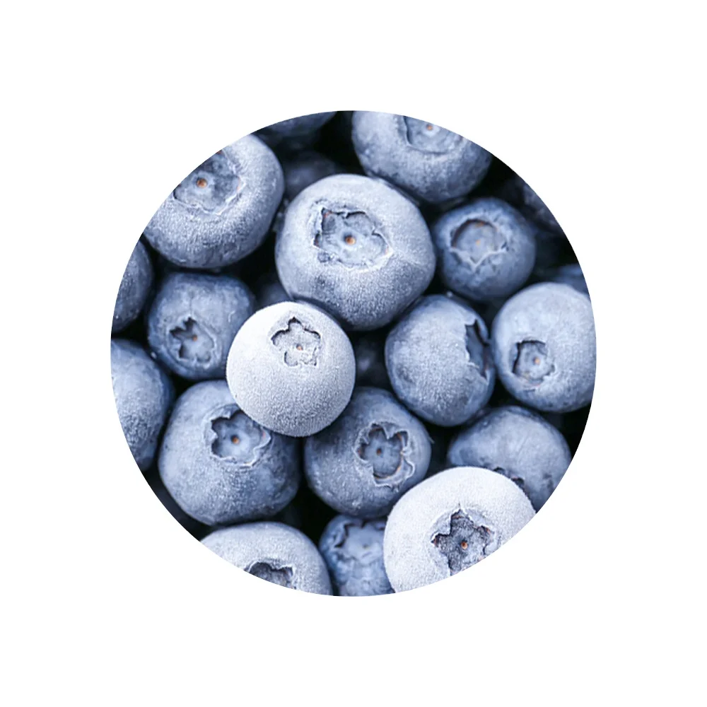 PREMIUM QUALITY FRESH FROZEN BLUEBERRY FRUIT FROM RELIABLE SUPPLIER