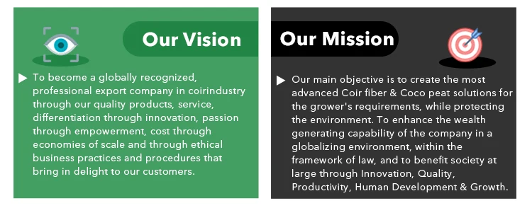Vision Mission.jpg