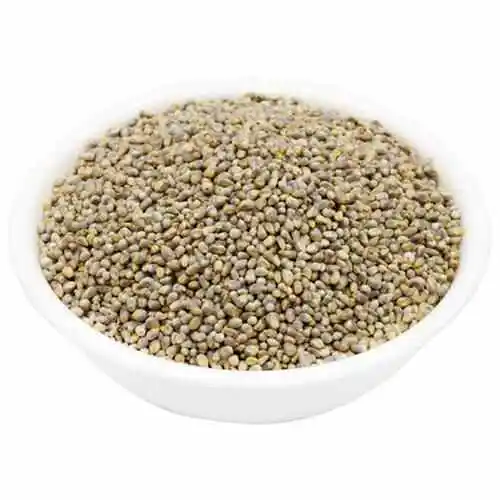 Premium grade Green Millet animal feed Sortex cleaned best use for animal feed protein 9% Export quality