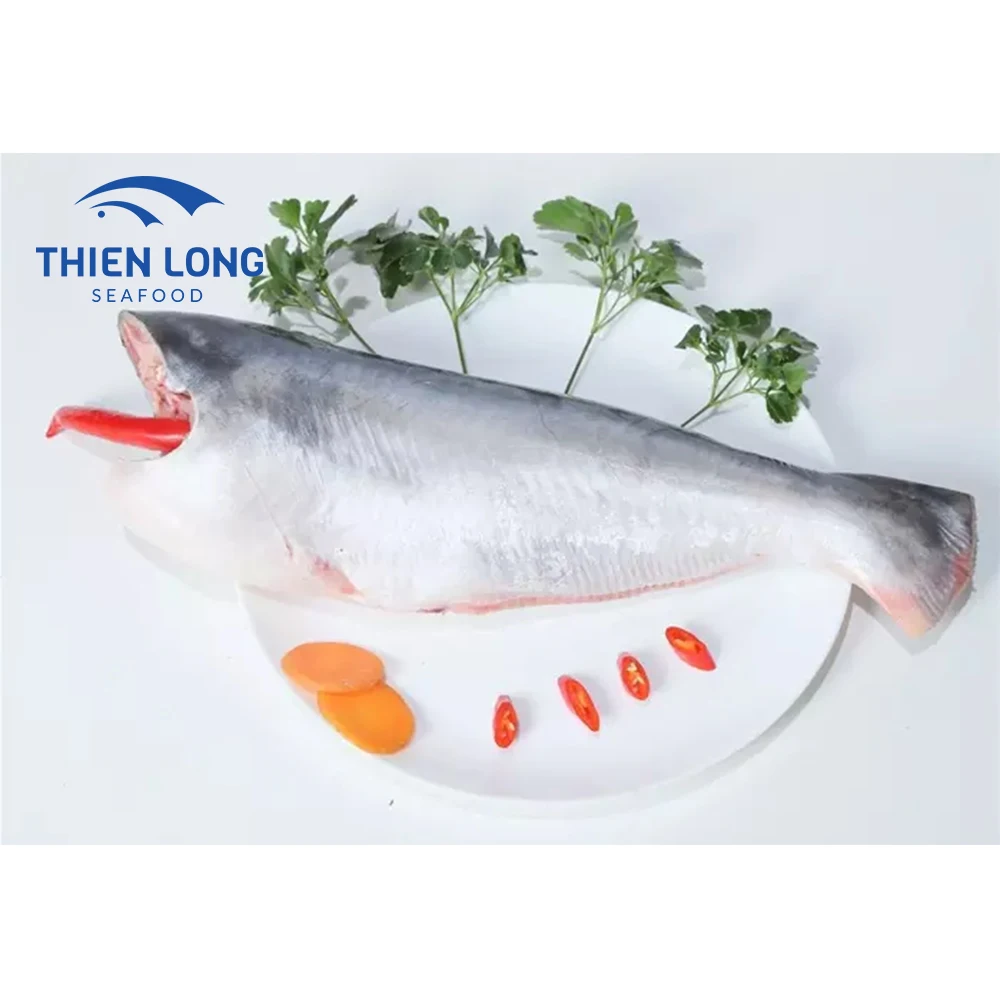 Wholesale Best Price 100% Frozen Pangasius Fish from Vietnam