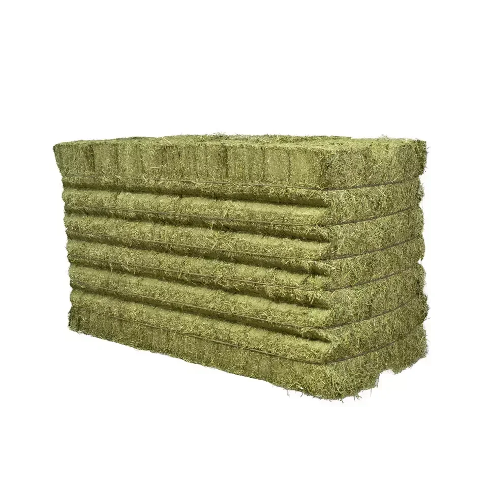 Bales (Alfalfa Hay), Timothy Hay Bales , Oats Hay Bulk Top Grade Alfalfa for Animal Feed / Alfalfa Hay