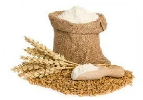 All Purpose White Wheat Flour Dried Multipurpose Flour in Bag Made From Oat and Buckwheat