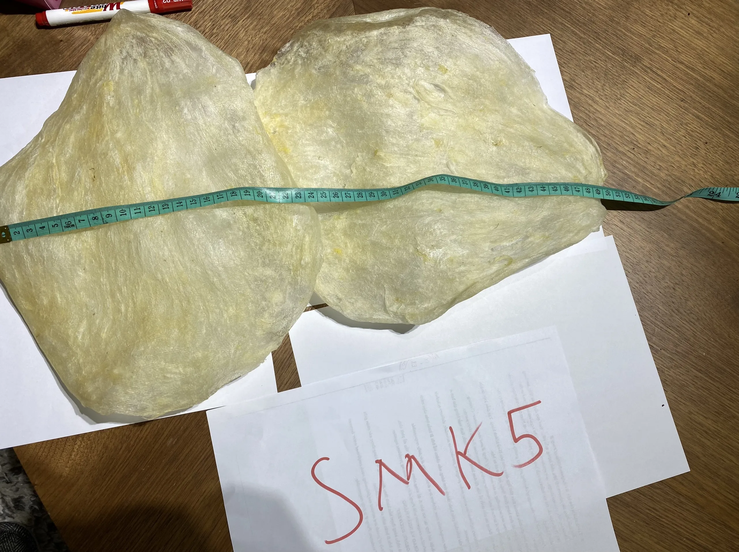 FISH MAW SUN DRY FISH MAW NATURAL PREMIUM QUALITY FISH MAW FROM VIETNAM