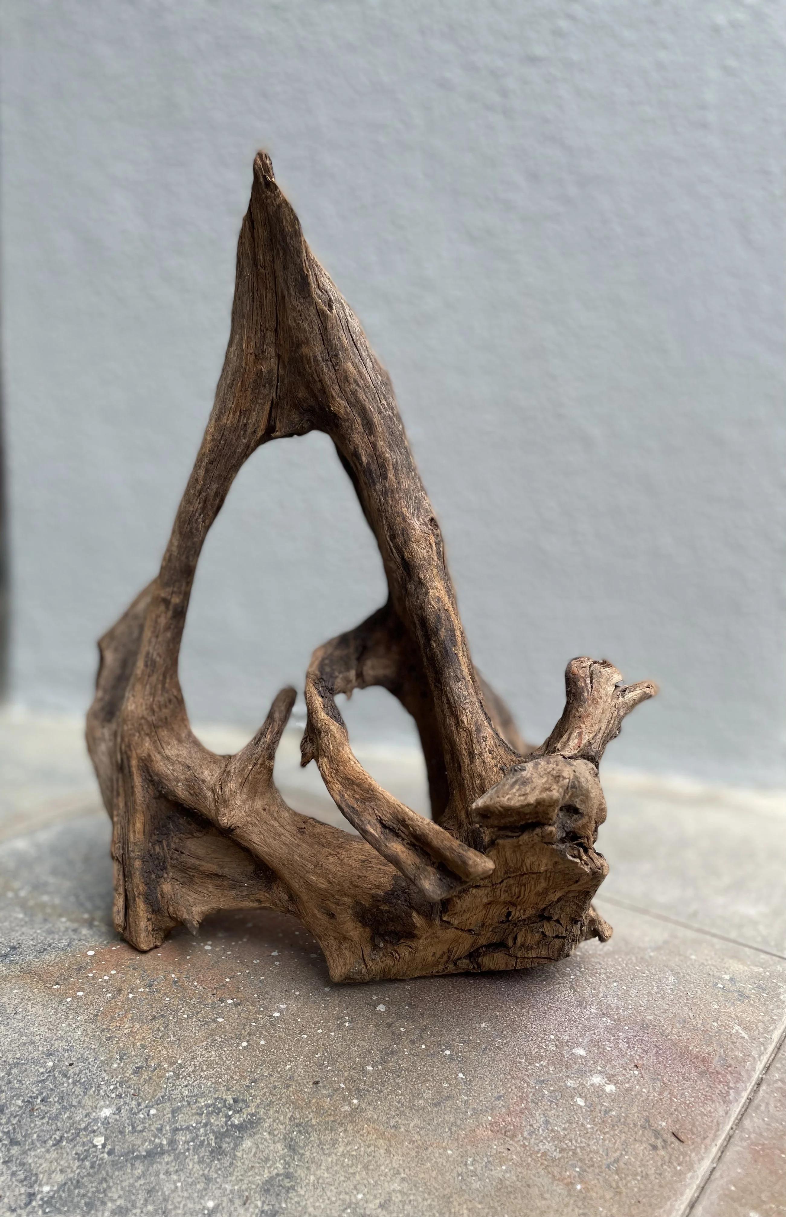 Wholesale Nano Super Nano Malaysian Driftwood Waterplant Terrarium Aquascape Decoration Light S XXS Air Plant