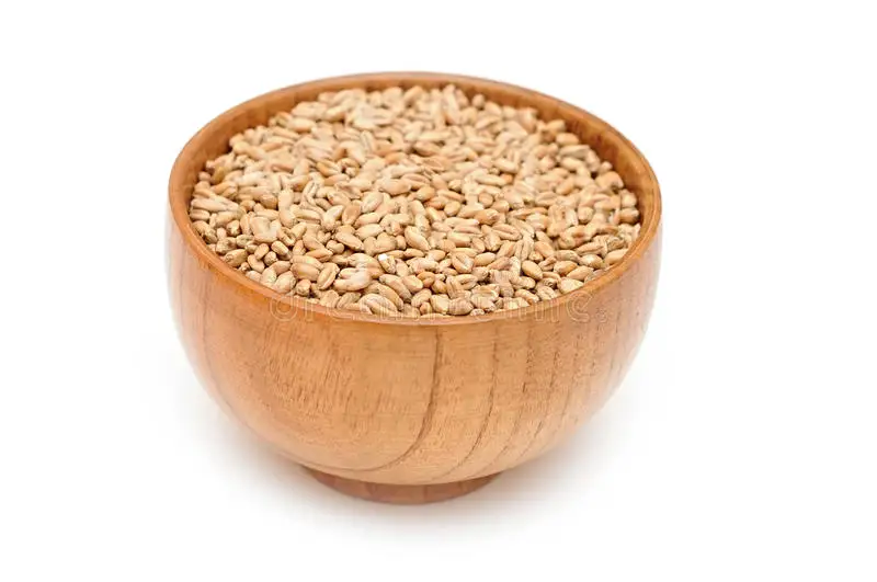 Органически выращенные Новые зерна пшеницы с максимальной влажностью 13% доступной для экспорта по лучшей оптовой цене