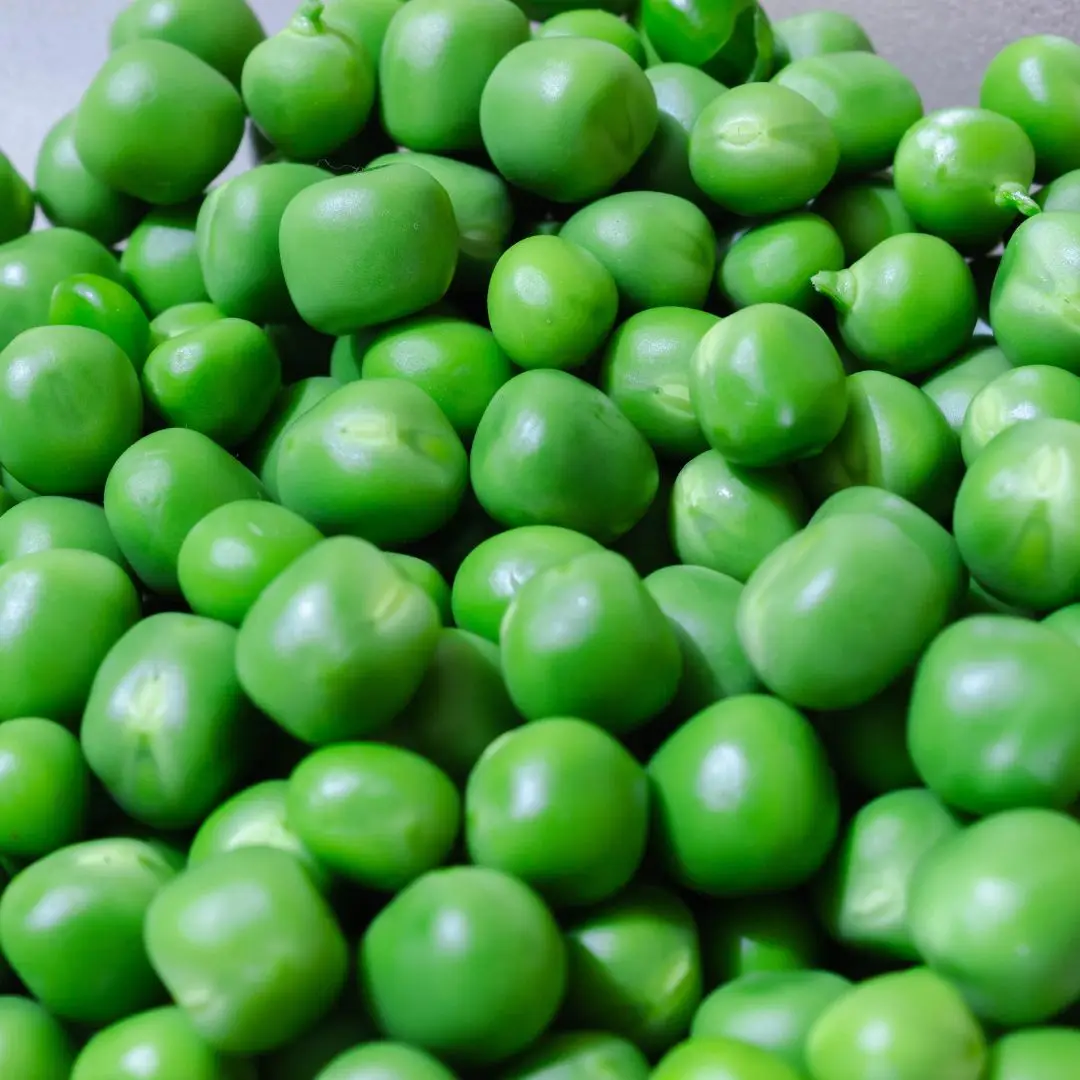 Новое поступление натуральный зеленый горох сорта пищевого класса импульсы оптовая