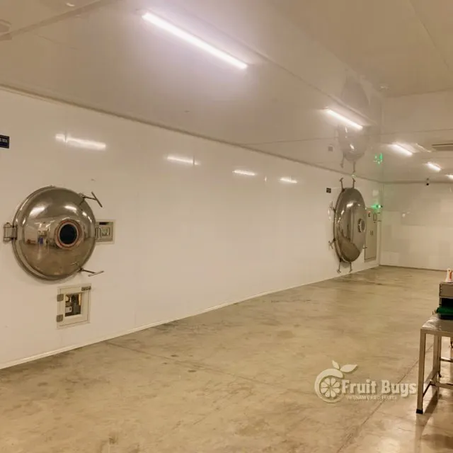 Vietnam Dried Durian Chips Fruit Naturally Delicious Ripened Freeze Durian Fruit For Healthy Vegetarian Dried Preserved