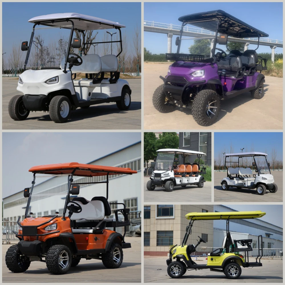 Fast Delivery Low Price 2 Seater Lithium Battery Golf Cart  Multifunctional Adults 4-wheel Electric Golf Cart