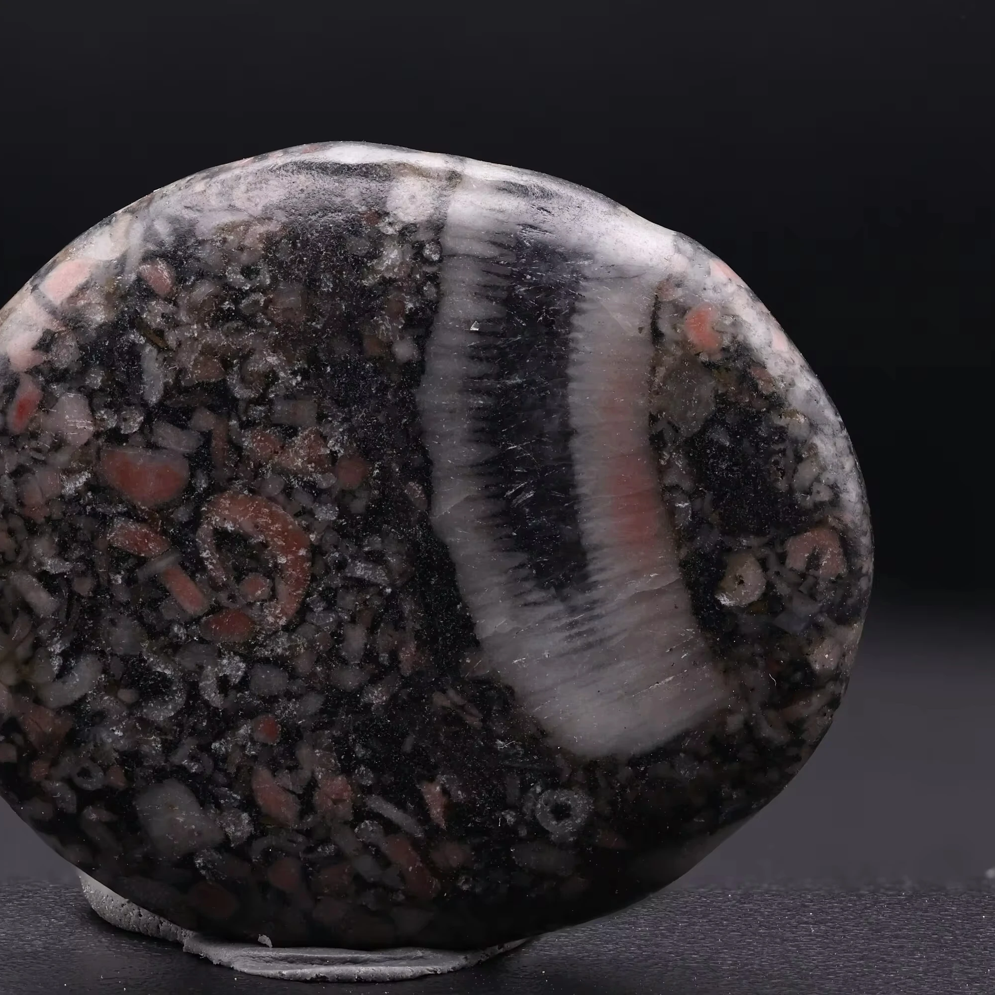 Top Quality Natural Polished jasper Crinoid Fossils Gemstone Best Gift For Collectors Mix Shapes And Sizes For Making Jewelry