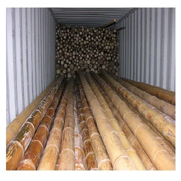 Best Quality Natural Bamboo Poles / Bamboo Canes/ Stakes for Agriculture Planting