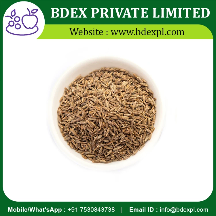 Indian Cumin Seed Available In Best Quality And Competitive Price