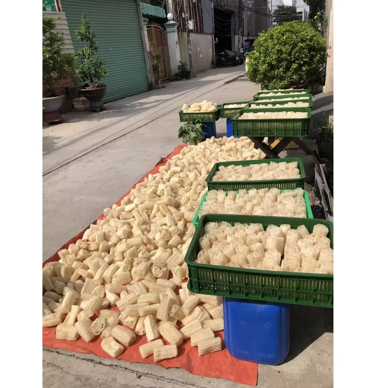 OEM Support Eco Friendly Product Loofah Back Scrubber Bathing Size Removing Low MOQ Customize Smell Body Loofah In Vietnam