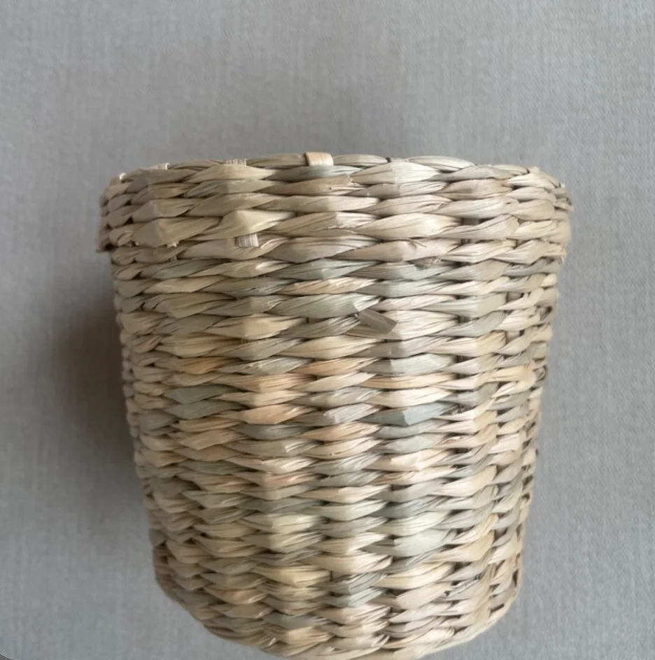Top choice Sustainable Ecofriendly Lovely Handmade Seagrass Pots for Planting Trees