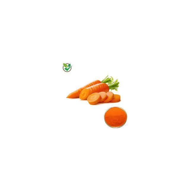 New Arrivals Food Grade Red Radish Pigment Freeze-Dried Spray Dried Carrot Powder Good Price Sales In India