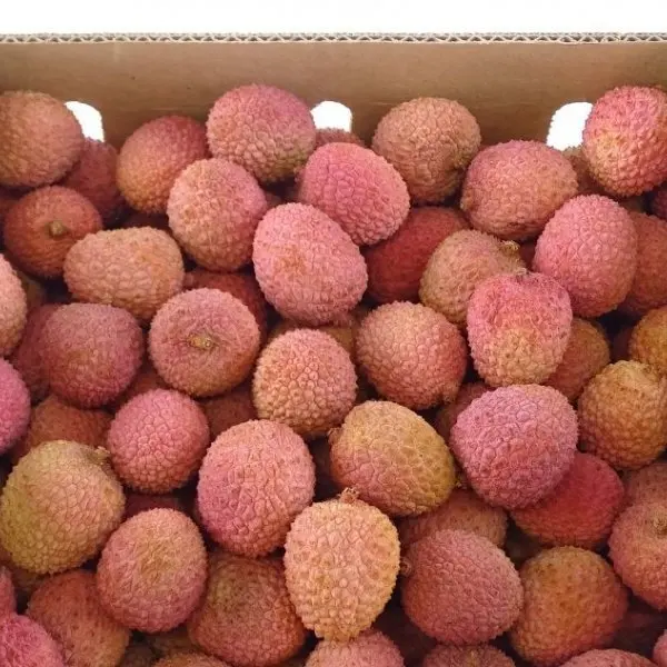 lychee 8 - Copy.jpg