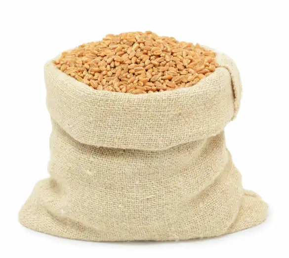 Wholesale Non GMO High Grade Wheat Grain in Bulk 100% Pure & Nutrition Factory Price