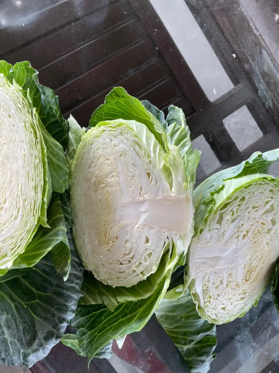 Natural Fresh Green Cabbage From Vietnam Organic