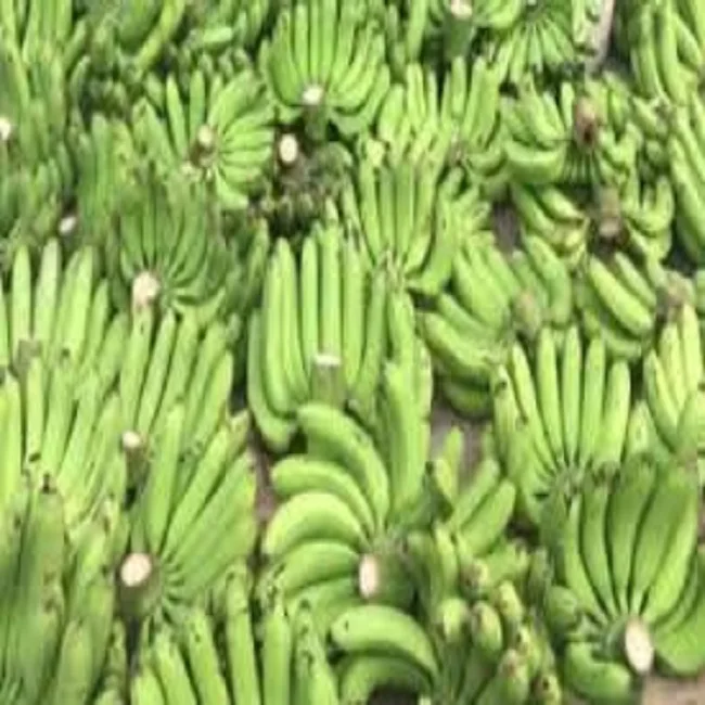 Высококачественный тропический банан из Вьетнама