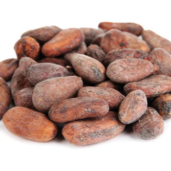 cocoa beans 11.jpg