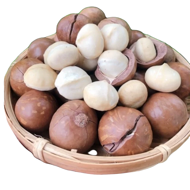 Орех макадамия высшего качества сохнет средний размер новый урожай производство оптовая продажа экспортные стандартные орехи