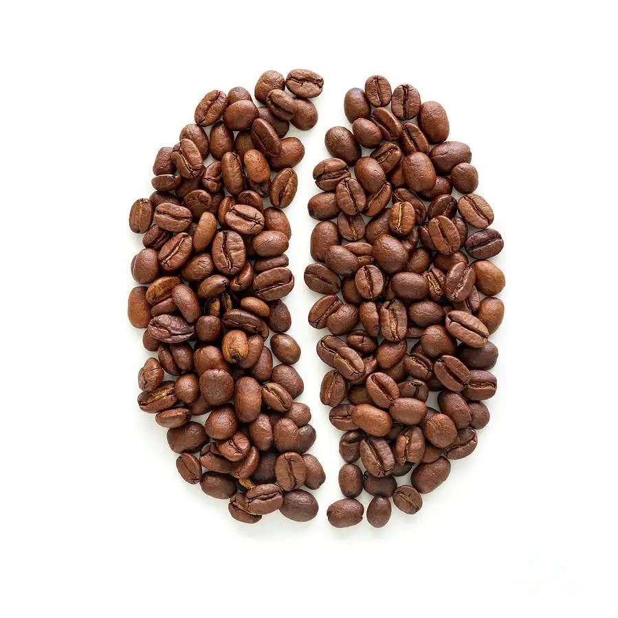 Best Selling Wholesale Famous Drink Medium Roasted Brown Arabica Roasted Coffee Beans From Vietnam Brand
