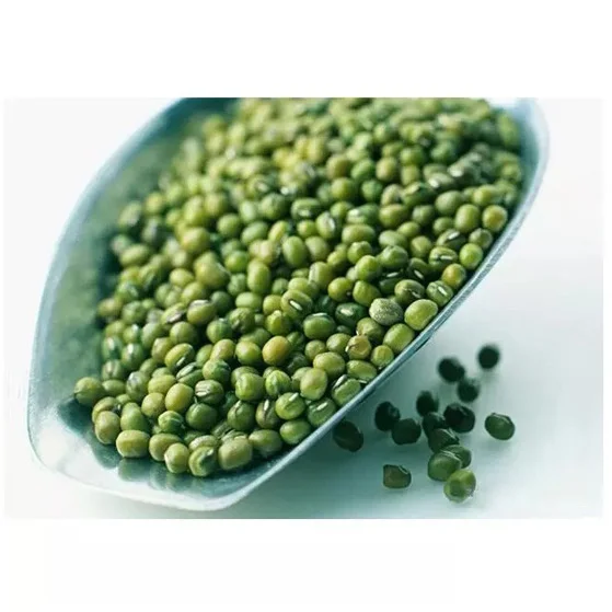 Best choice and best discounts Green Bean Machine Cleaned Premium Grade Green Mung Beans Exporter