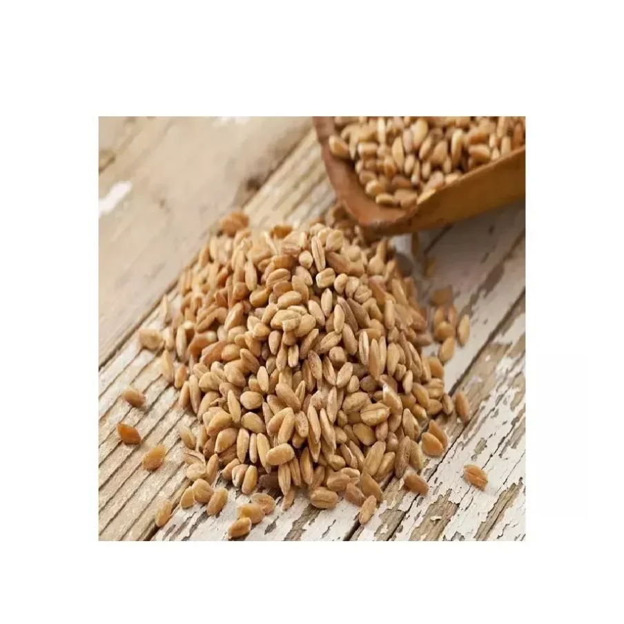 180000 (6).png