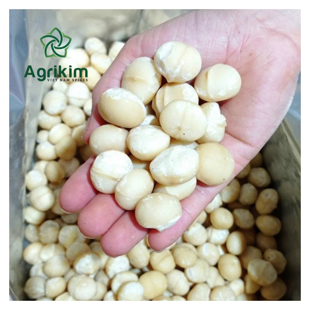 Carefully Selected Macadamia Nuts & Kernels Superior Quality With Full Certifications Affordable Price Contact Now +84363565928