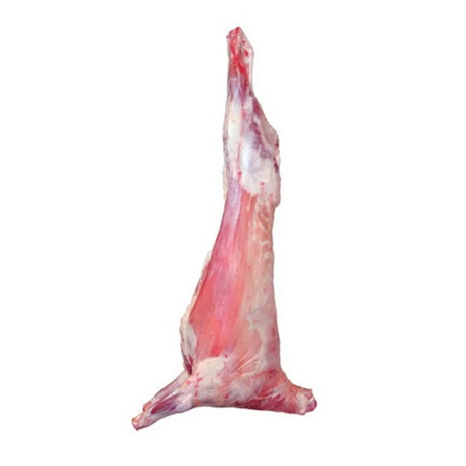 100% Grass-fed Halal Sheep Meat Boneless Lamb Leg Sheep Tail Fat Fresh Chilled Cuts Of Sheep With Bone