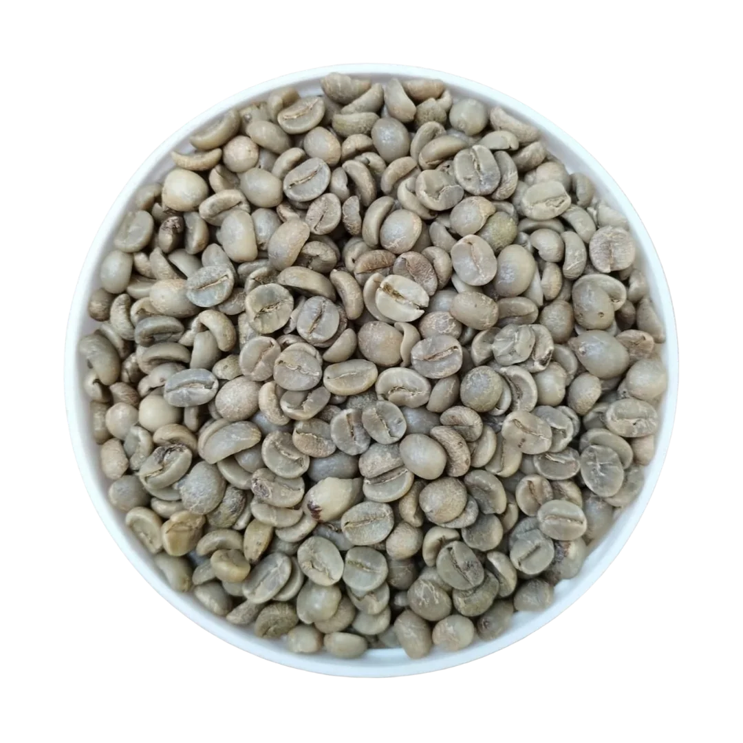 High Quality Premium Arabica Coffee Bean Wholesale From Indonesia 100% Fresh Ready to Export Globally