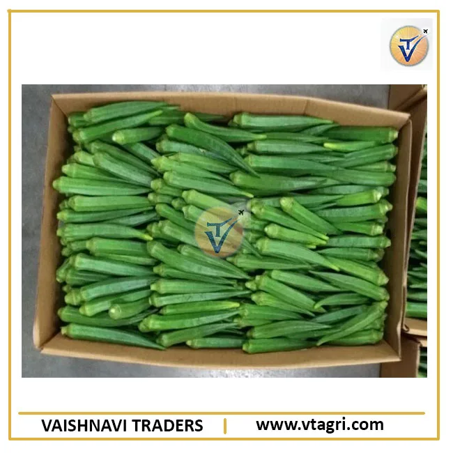 Green Indian Fresh Okra - Fresh Indian Lady Finger - Green Lady finger - Fresh Okra supplier