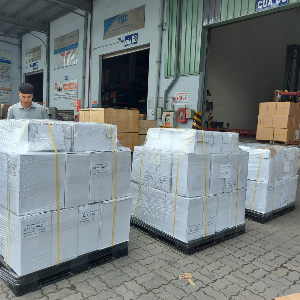 Trusted Supplier Cashew Kernel Cashew Nuts Vietnam Cashew Nut From Santigo Vietnam