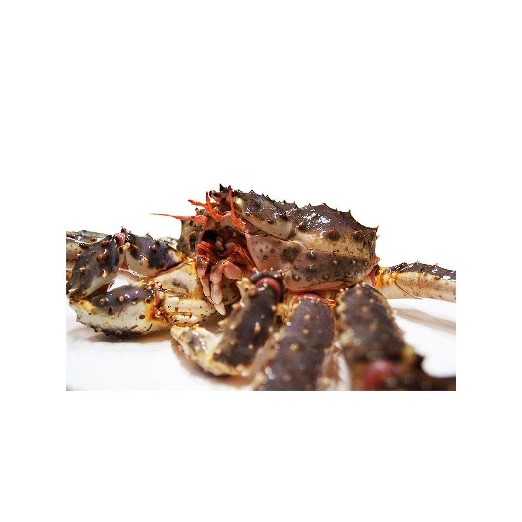 Quality Fresh Live Red King Crab Norwegian King Crab Alaskan King Crab/Buy  King Crab/Hot sales King Crab Legs