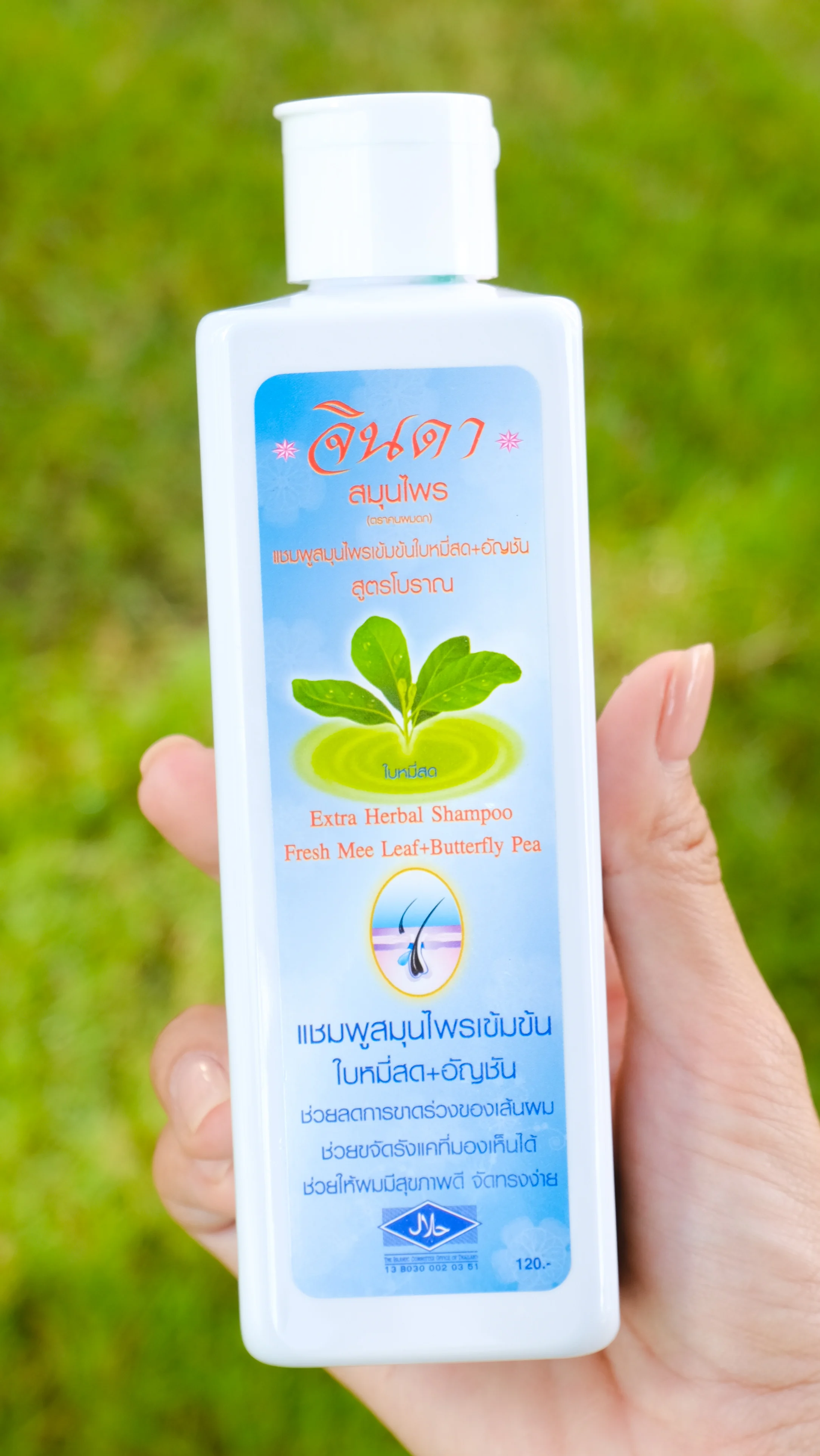 JINDA 250ml Intensive Herbal Shampoo with Adenosine Hair Care Formula to Prevent Hair Loss Nourish and Repair Hair Strands