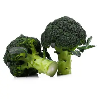 Wholesale Fresh Broccoli ,Fresh Green Broccoli, Frozen fresh broccoli for sale
