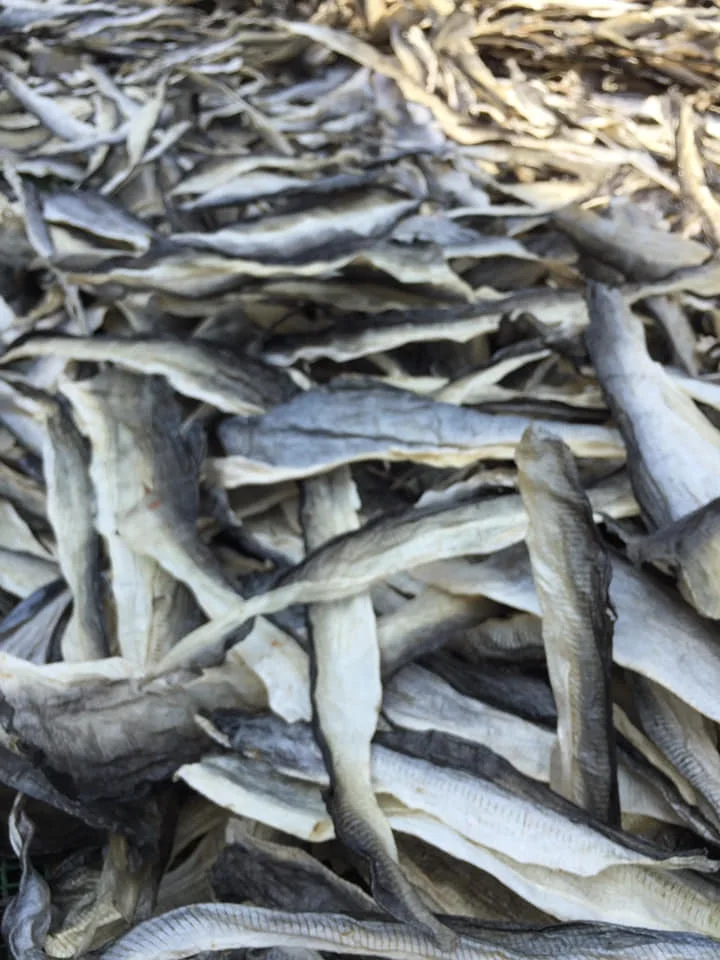 Dried Catfish Skin For Snack Dried Pangasius Fish Skin For Collagen Production 0084971886886