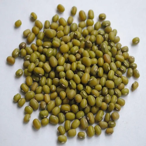 Premium Quality Green Mung Beans/ vigna beans