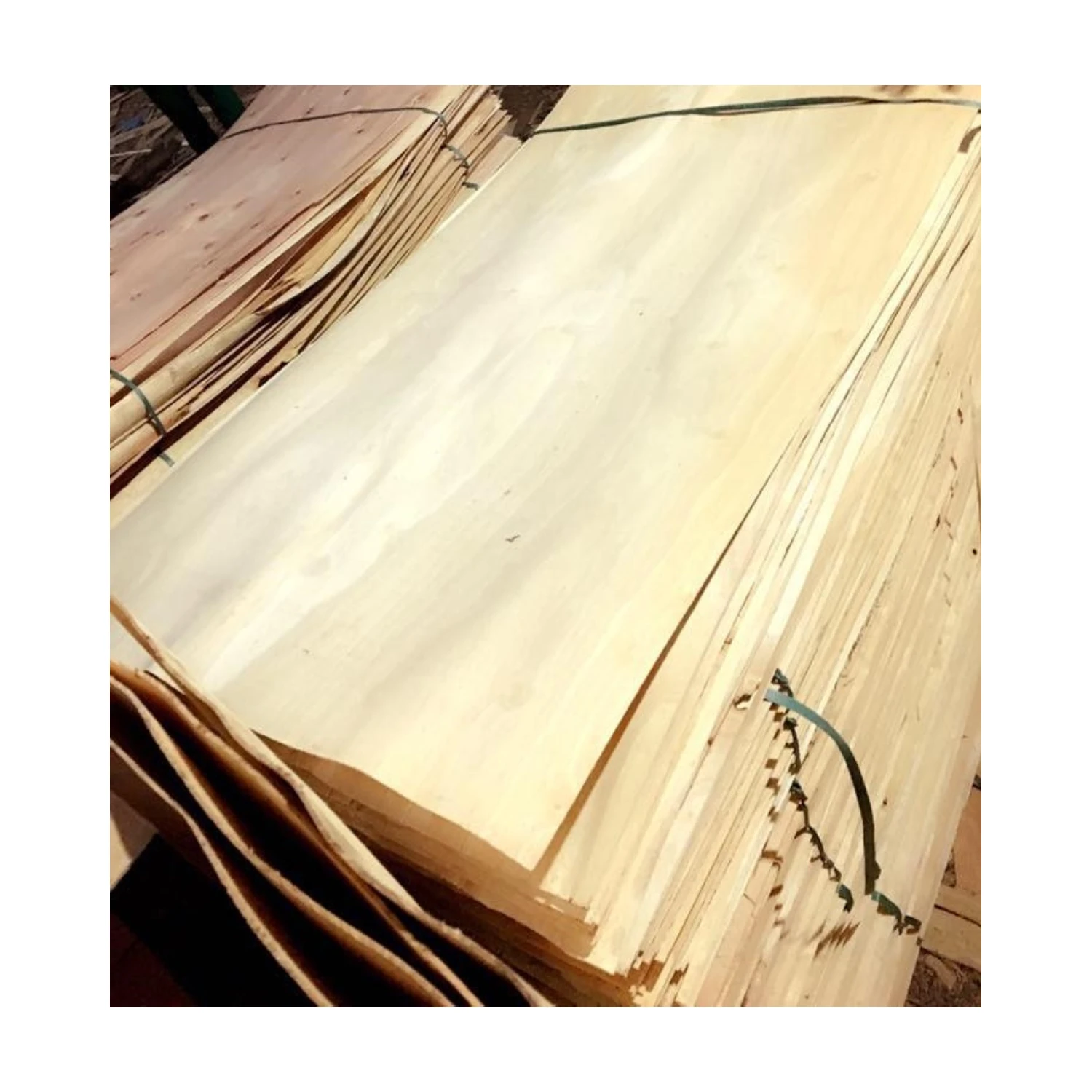 NATURAL EUCALYPTUS/ACACIA/RUBBER CORE VENEER WITH VERY CHEAP PRICE