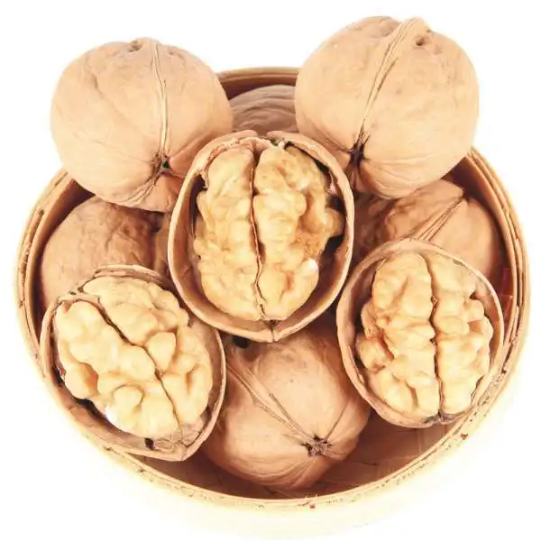 Special discount ceviz top quality in shell walnuts for sale walnut dry fruit