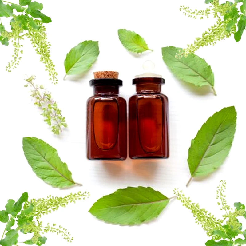Holy Basil Essential Oil Wholesale at Factory Price India 100% Pure Steam Distilled Oil Used as a Moisturizer
