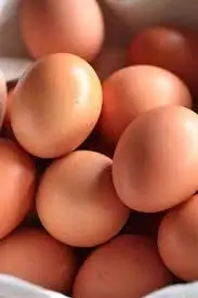 Best Quality Fresh Brown Table Chicken Eggs At Cheap Price