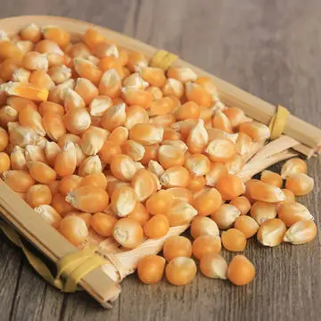 Желтая кукуруза Кения