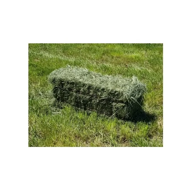 Quality Timothy Hay Quality Alfalfa Hay/ Timothy Hay and Lucerne Clover in Bales/Bermuda Orchard Grass Oat Hay
