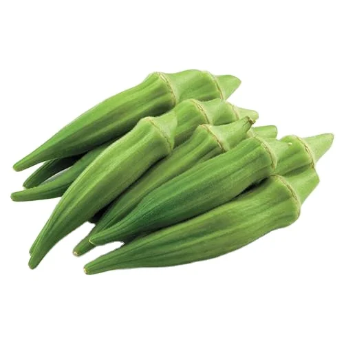 Vegetable Fresh Lady Finger / Okra at Wholesale Prices.
