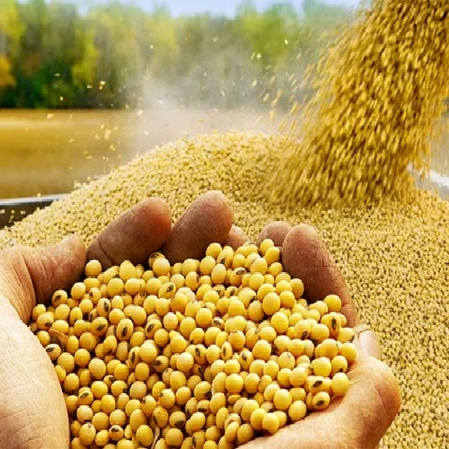 Wholesale Soybean Meal For Animal Feed High Quality Soybean Meal Bag 50kg From Germany Best Price Soybean Meal 46% Min Protein