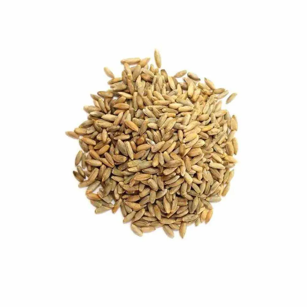 Wholesale Organic Oats wheat Grain