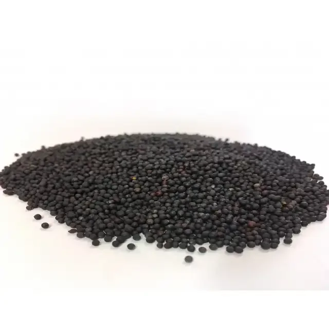 Hot-selling product Best Quality Canola Seeds Wholesale Prices Rapeseed Canola Seed