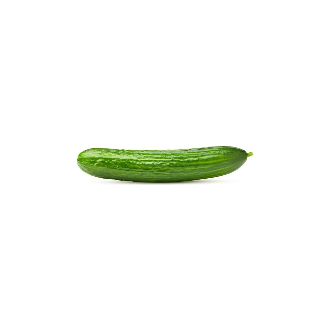 Premium Fresh Cucumber - Best Price High Quality Vegetable Available in